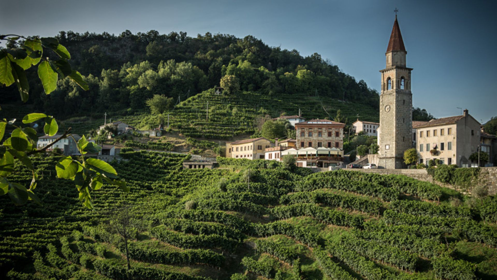 ristorante-andreetta-rolle-paesaggio