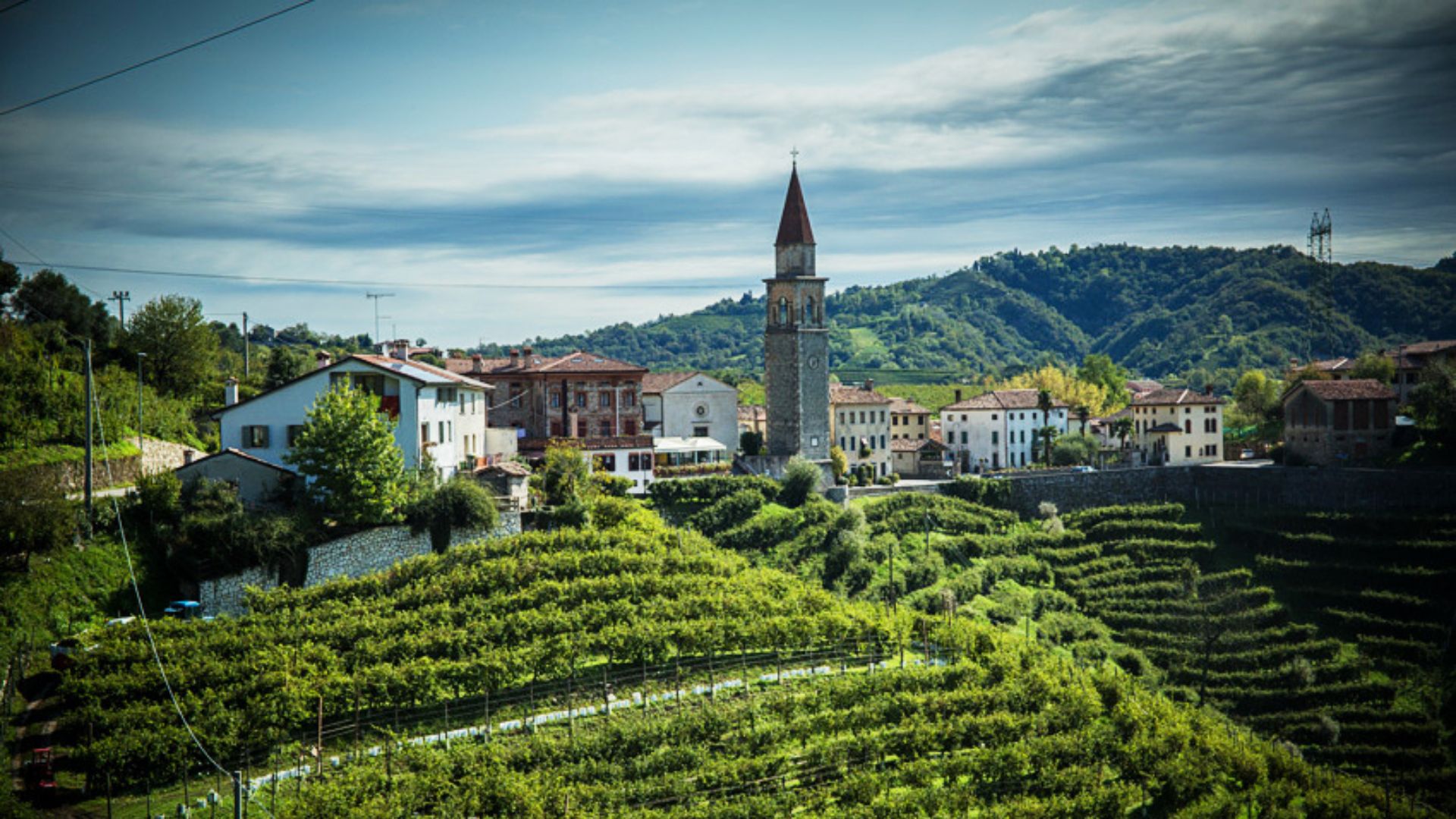 ristorante-andreetta-rolle-vista-vigneto-2