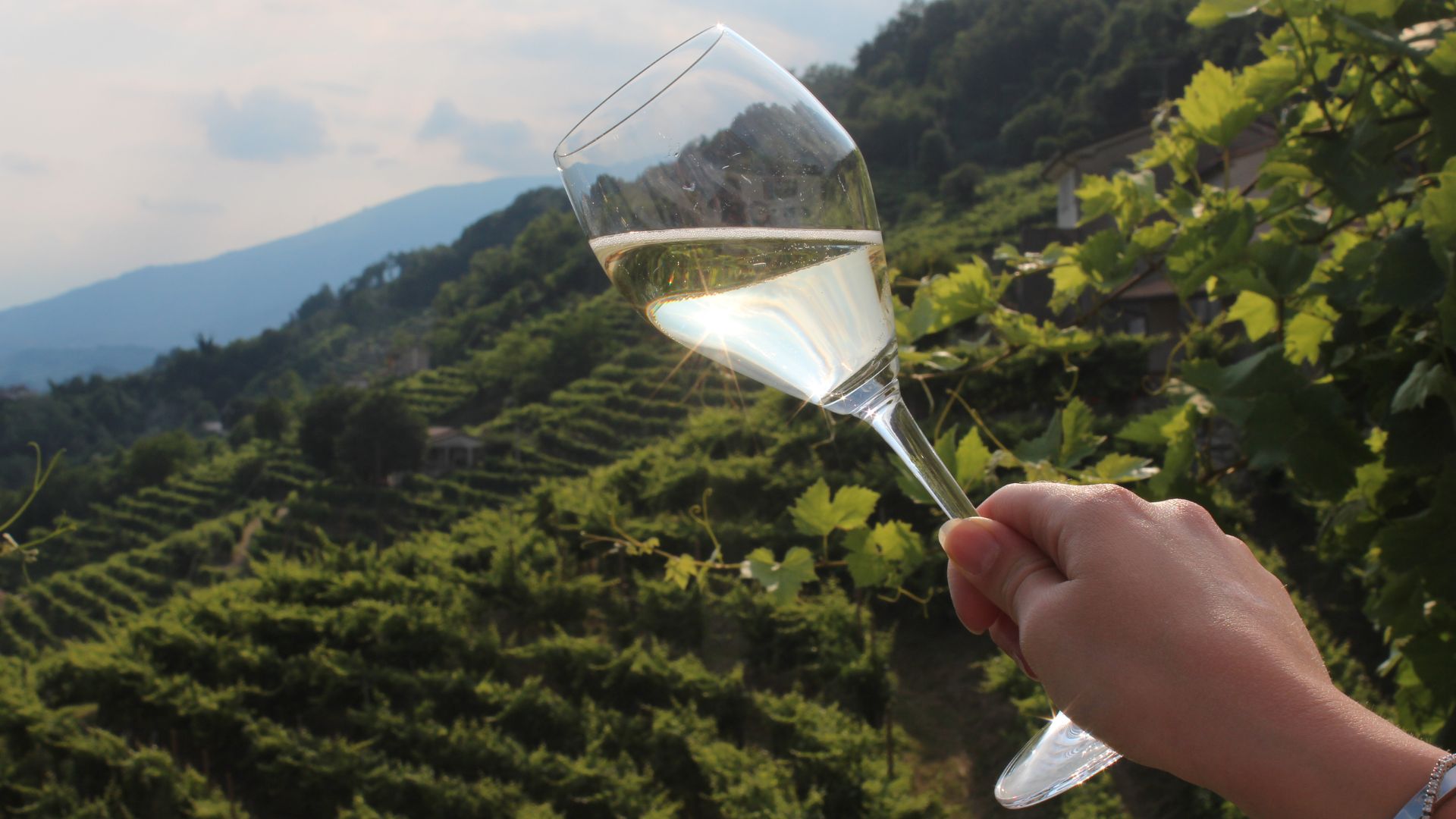 xr:d:DAFaEZIsUso:44,j:6847021168890094058,t:24040417