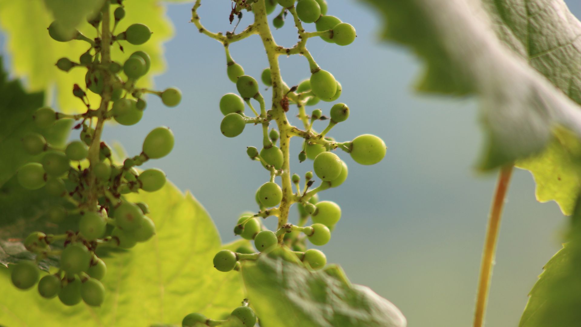 xr:d:DAFaEZIsUso:45,j:3946703007912570404,t:24040417